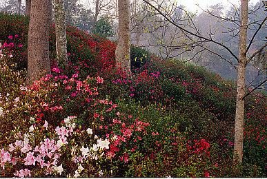 免费奇幻网游《Warlander》实机演示 Steam页面上线